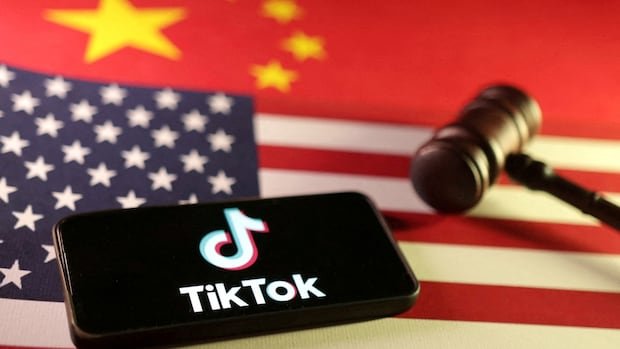 TikTok, Meta ‘chaos’ reminds Canadian businesses of the value of diversification